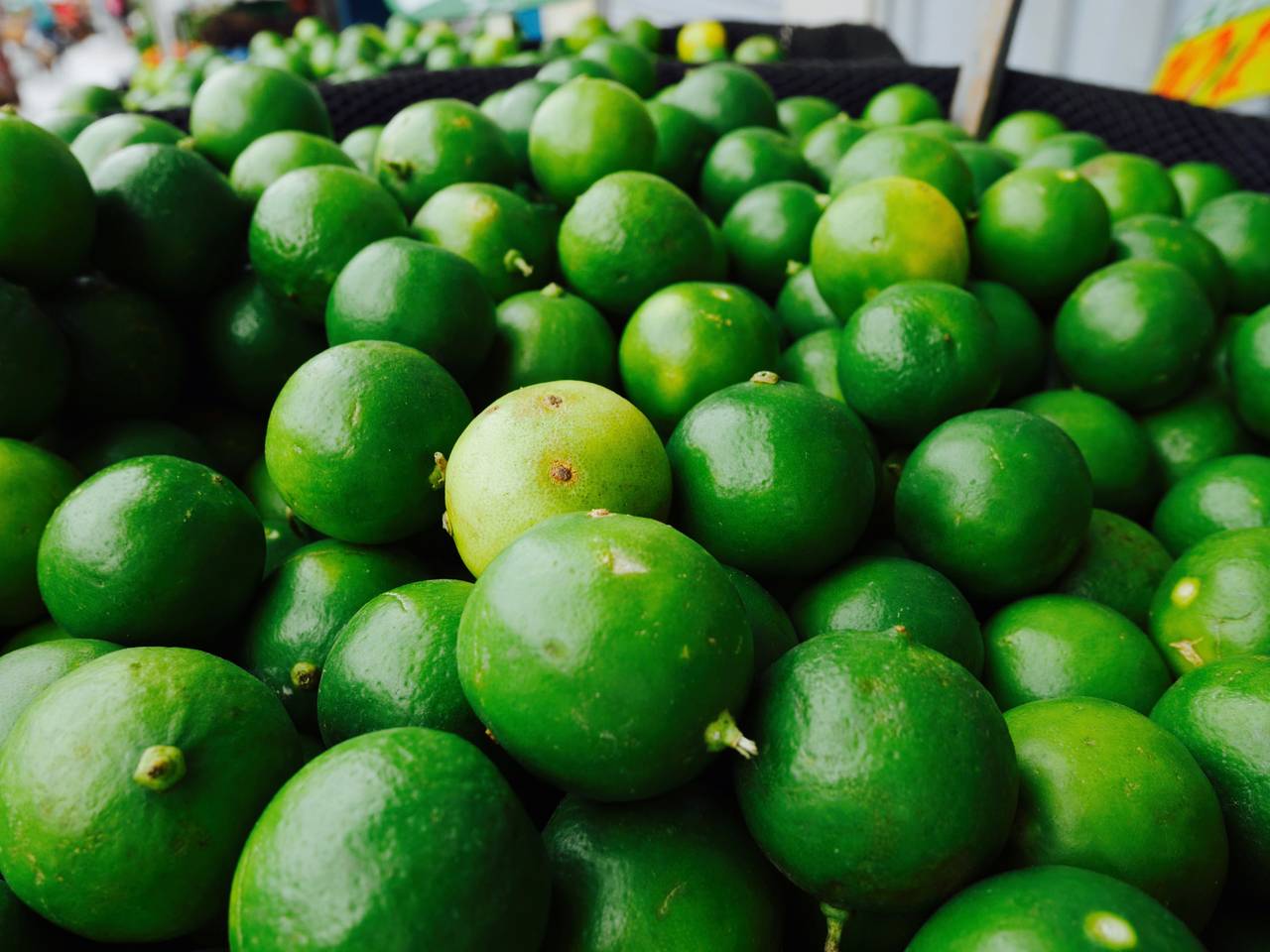 Limón sutil, el cítrico de la línea