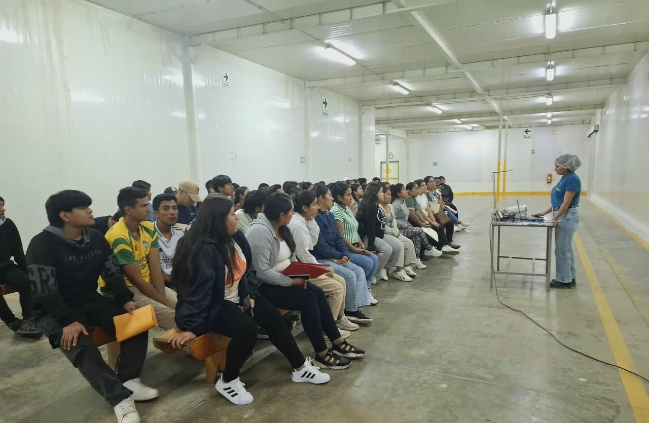 Personal reunido en una capacitación