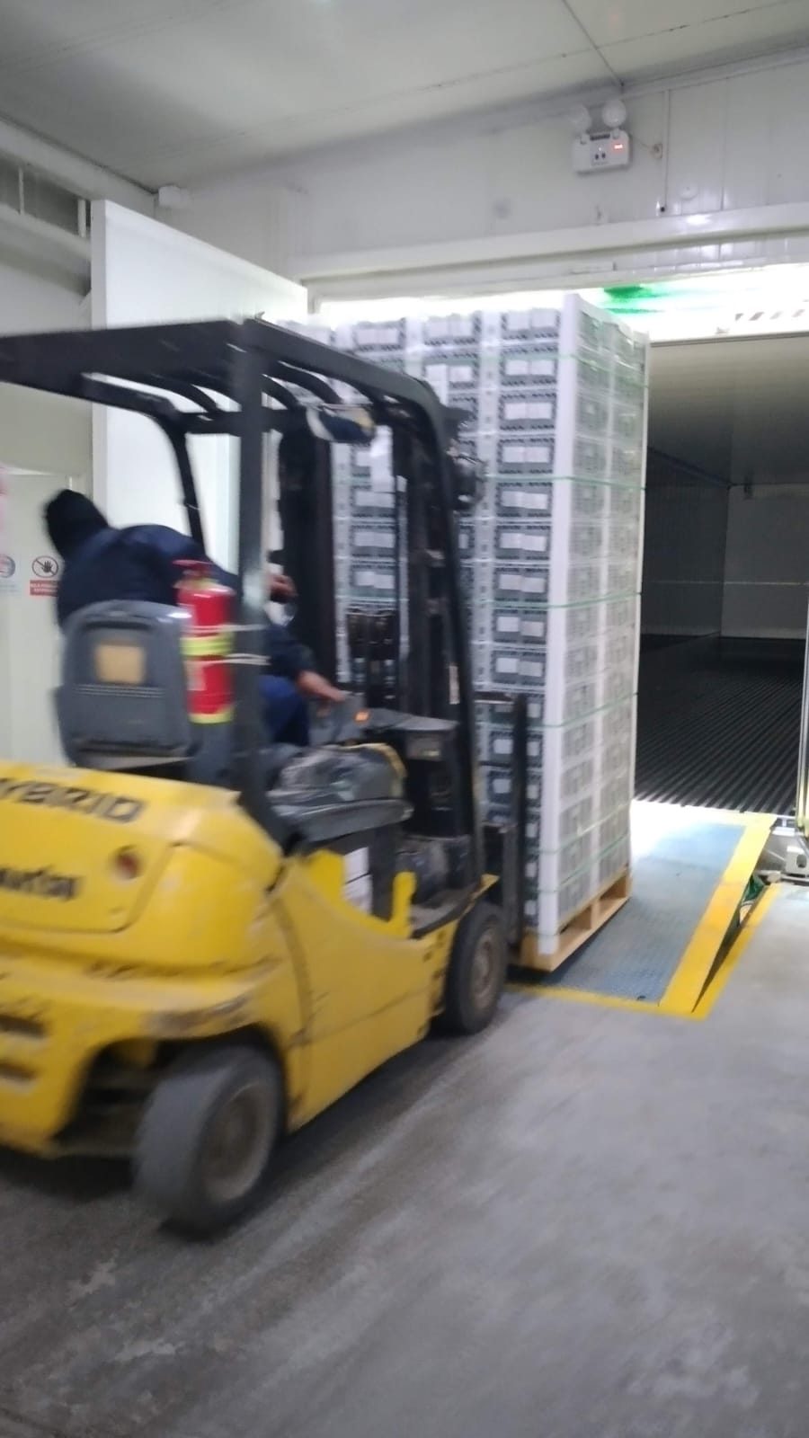 Montacargas cargando un pallet hacia el contenedor