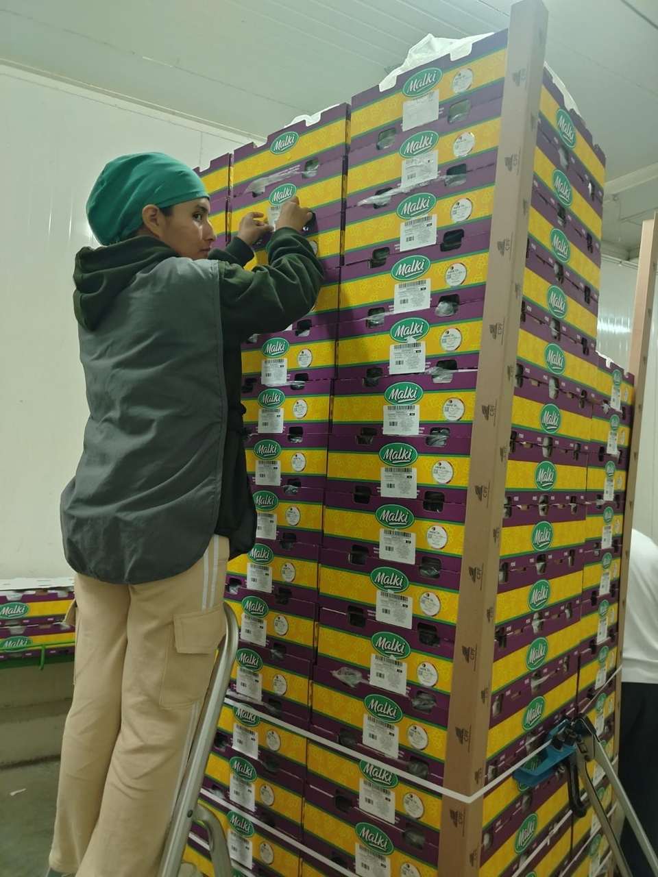 Etiquetado de pallets de uva